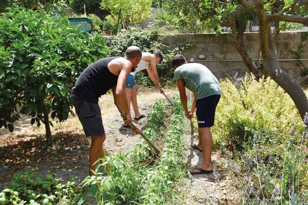 Orto della casa famiglia a Ischia