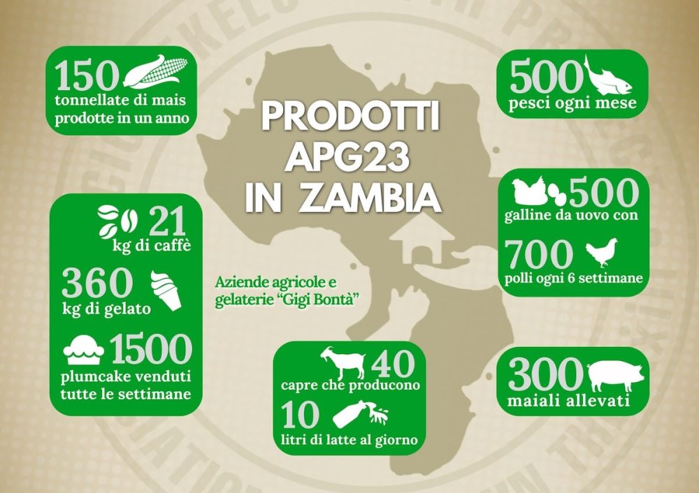 infografica lavoro zambia