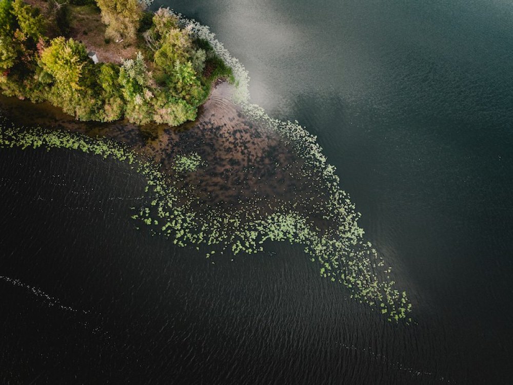 Approvata la legge sul ripristino della natura